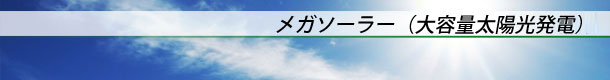 メガソーラー（大容量太陽光発電）事業